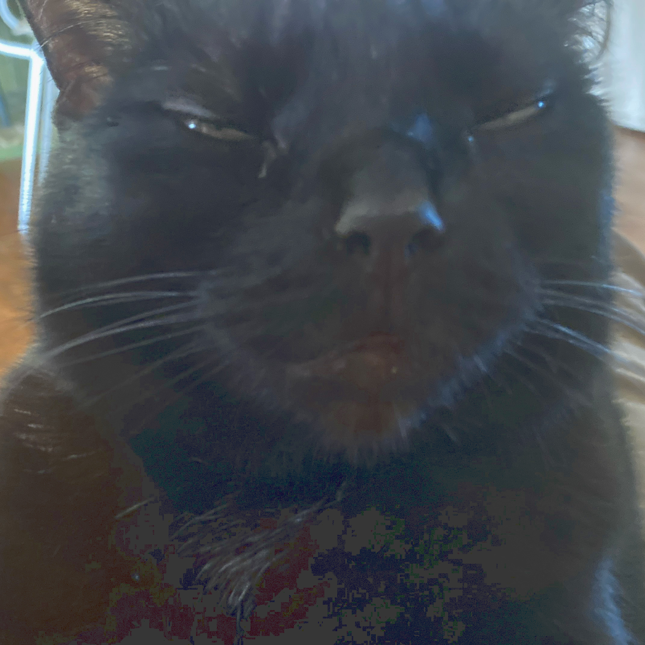 A picture for the song